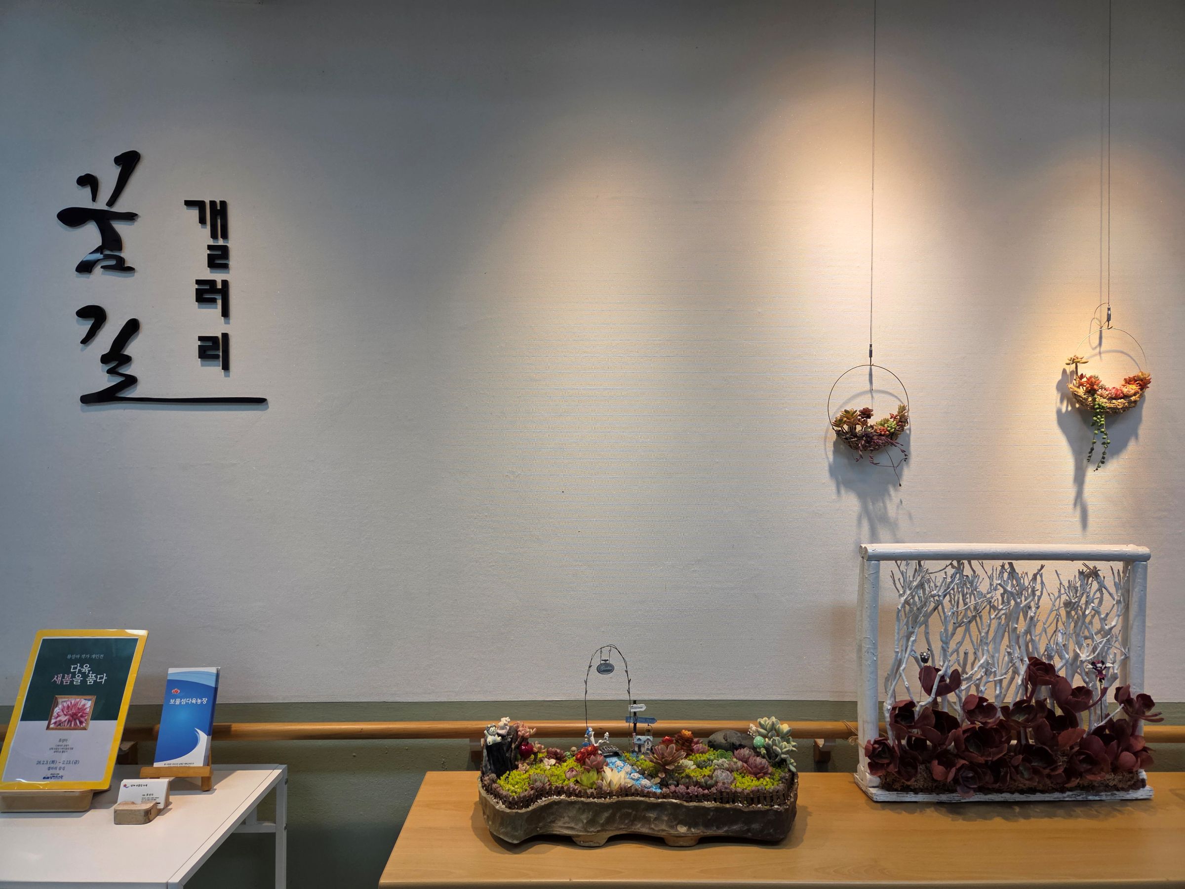 남해도서관, 류성아 개인전 『다육, 새봄을 품다』 개최 - 관련이미지1