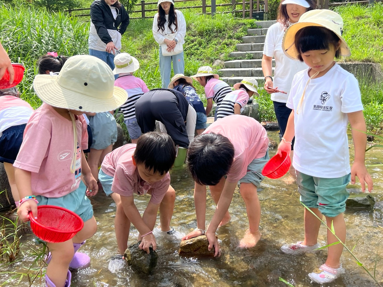 진해냉천초등학교병설유치원, 인근 유치원과 함께하는 ‘신이천 냇가 생태 체험’ 실시 - 관련이미지1