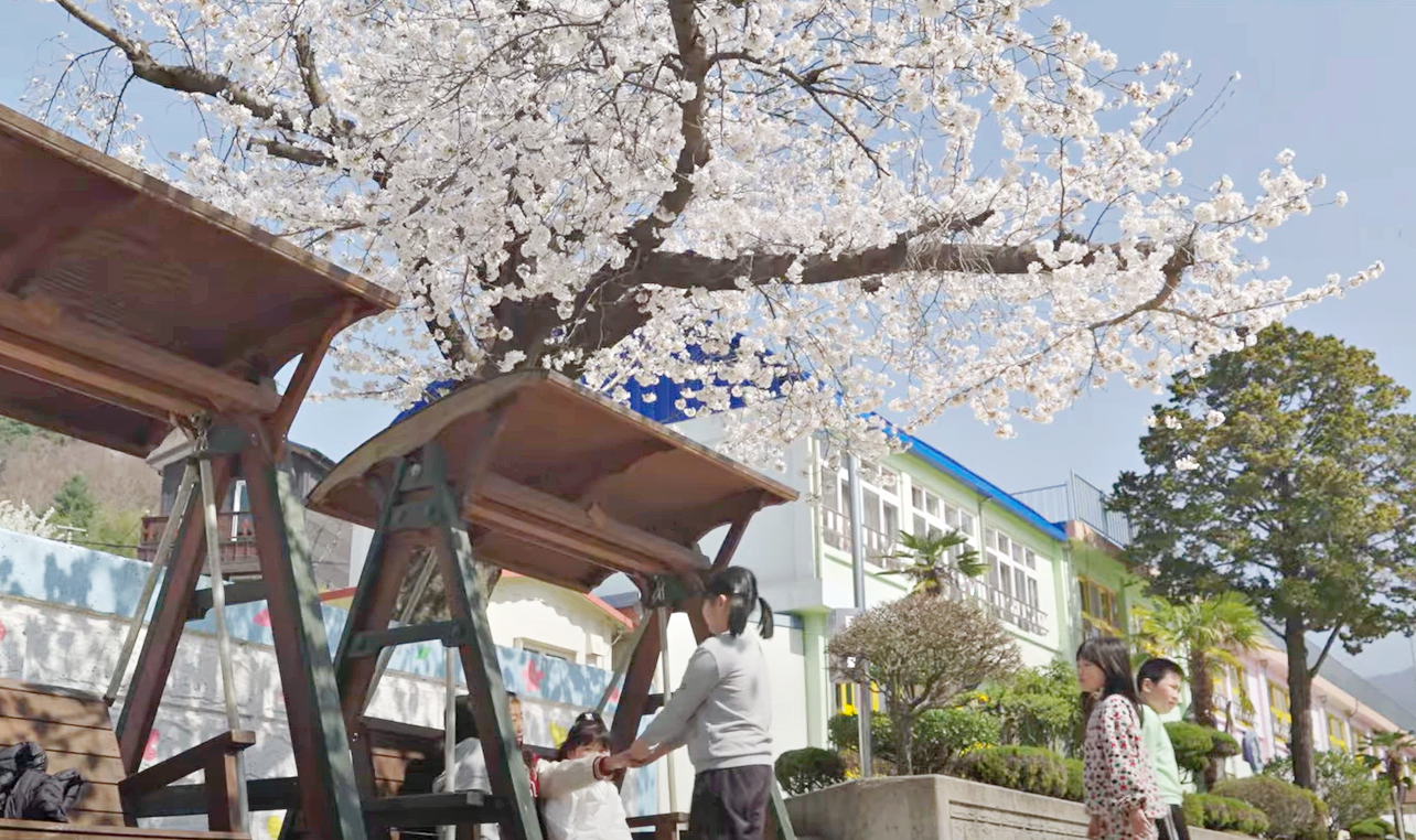 하동 화개초등학교, 벚꽃처럼 화사한 하루를 「그냥, 학교가 좋아서」 교육부 유튜브 채널에 담다 - 관련이미지1