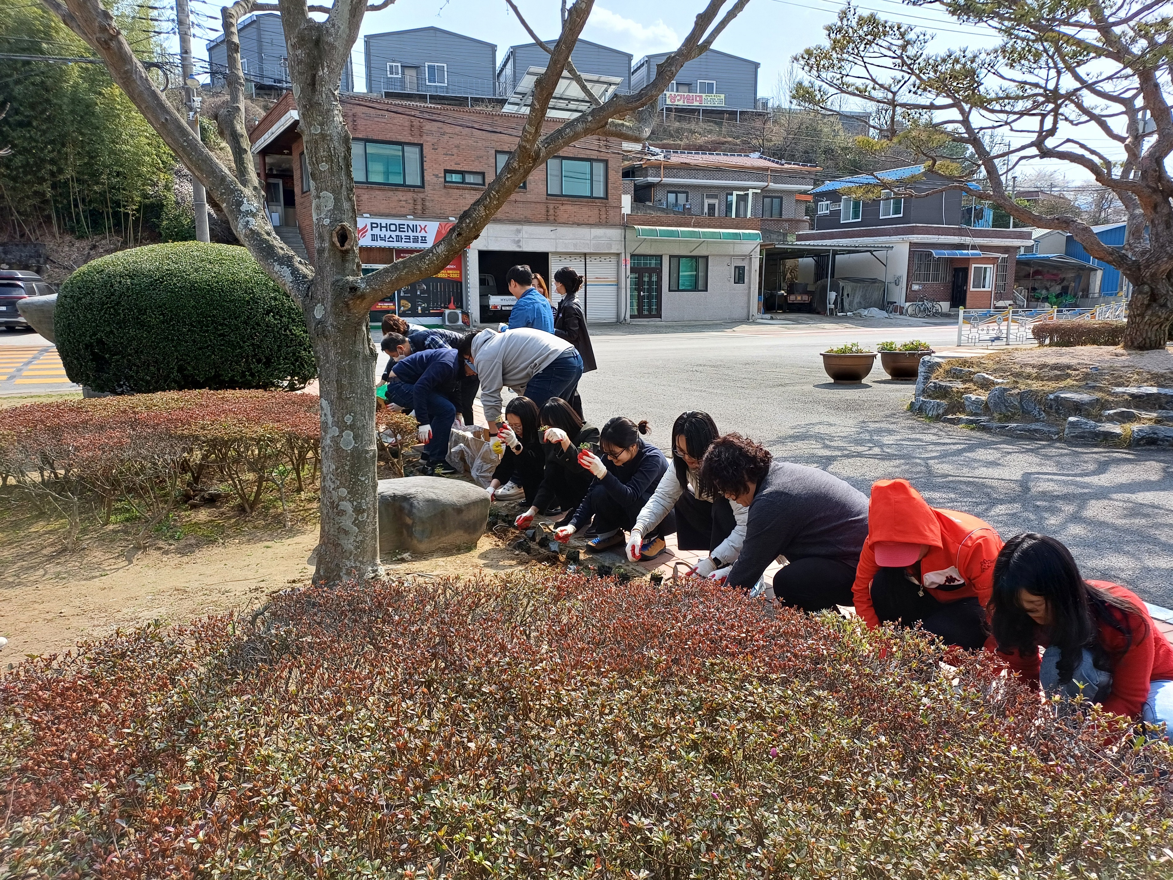 봄꽃 향기와 함께 소통하는‘청렴 꽃밭’조성 - 관련이미지1