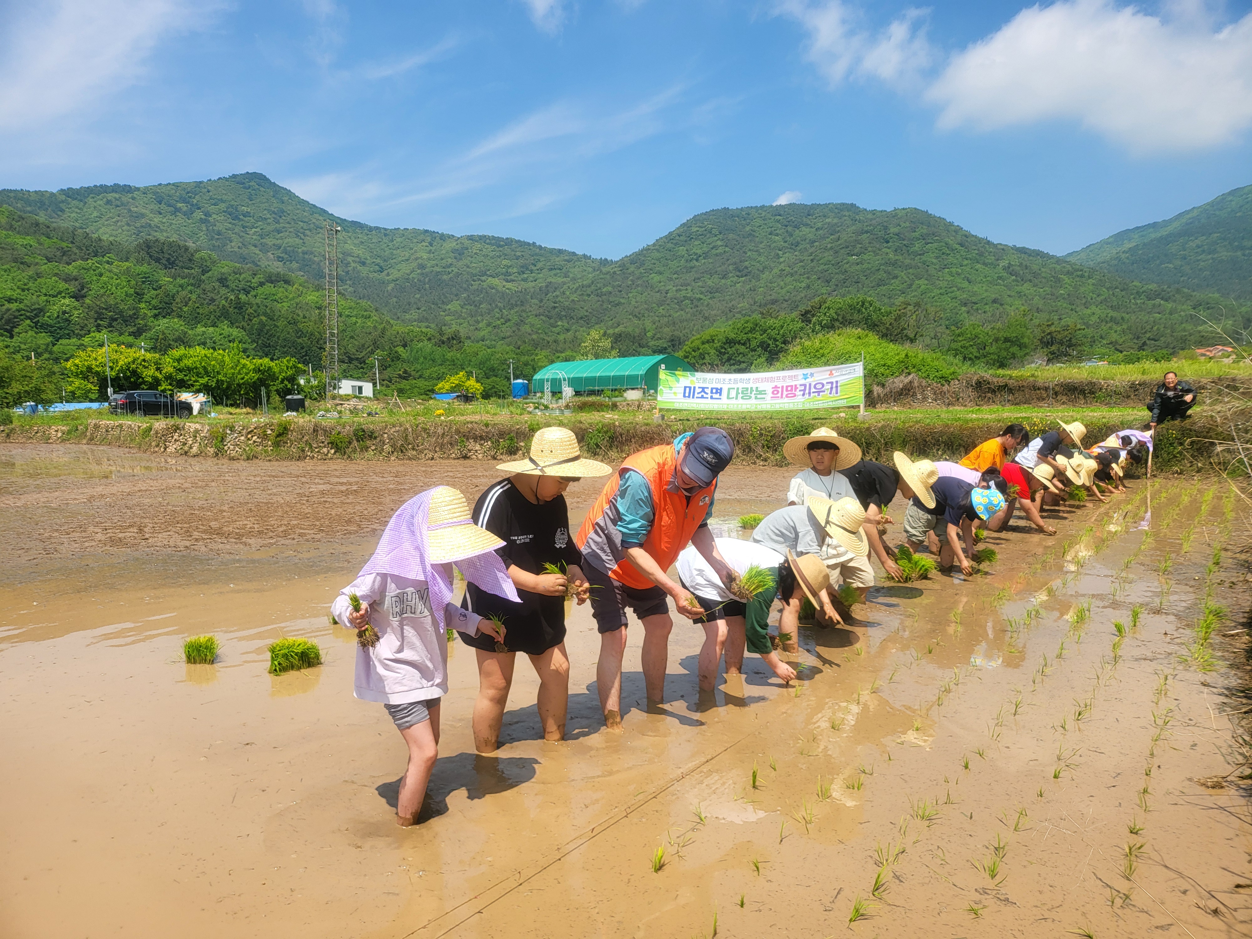 우리 손으로 싹틔운 모, 논과 밭에서 폭삭 익어주시다! - 관련이미지2