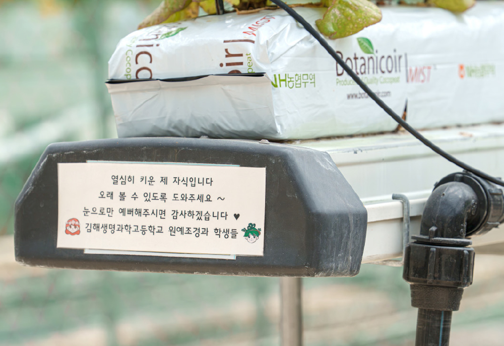제목 없음-4 복사