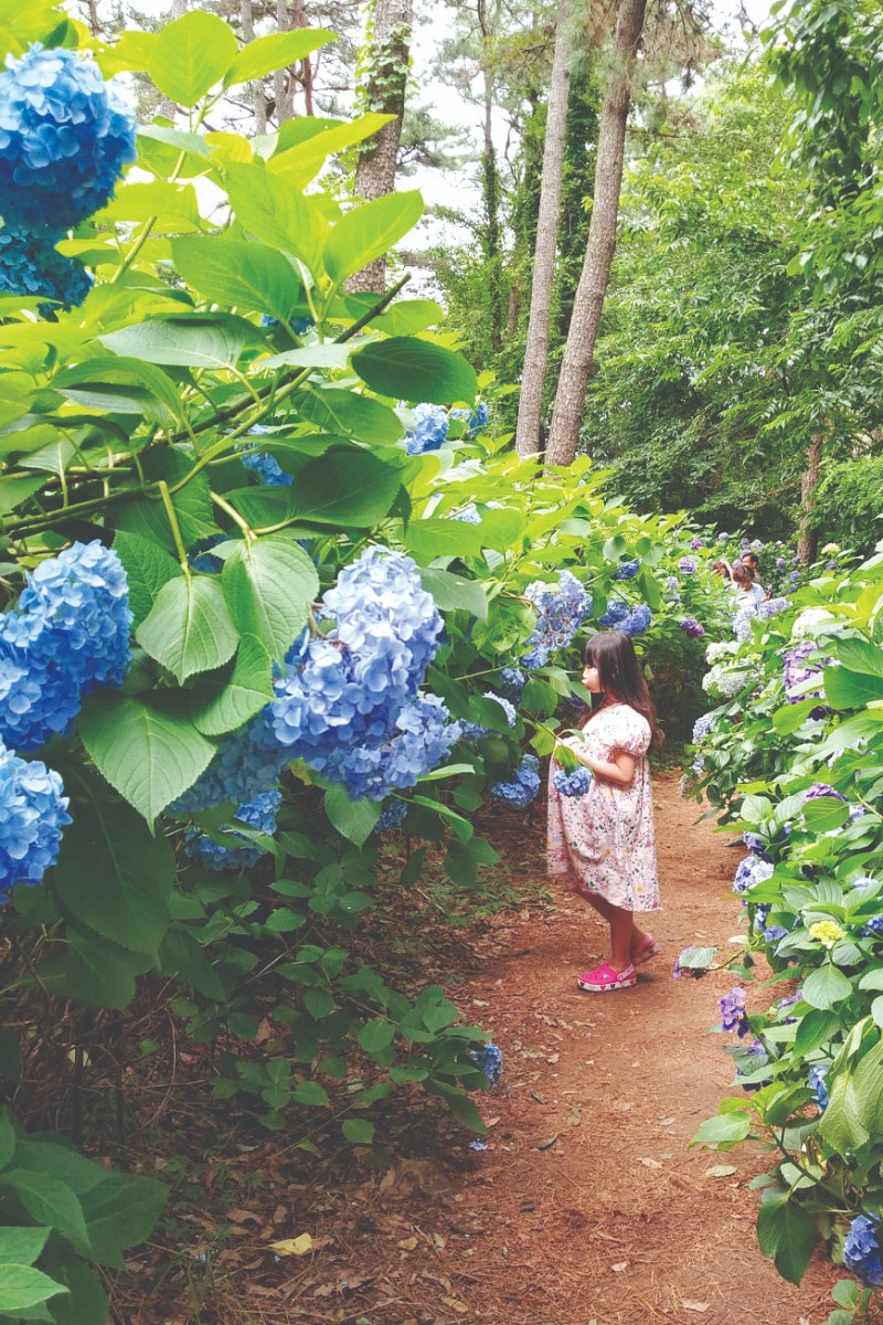 고성7 복사.jpg