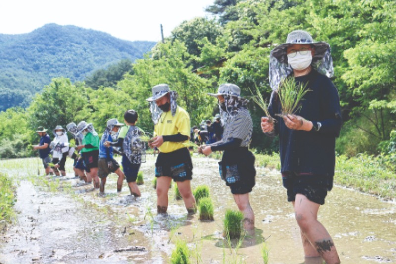 KakaoTalk_20220124_181226358_07.jpg