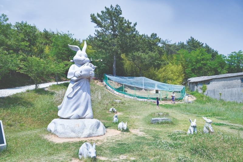 캠핑장 토끼사육장.jpg
