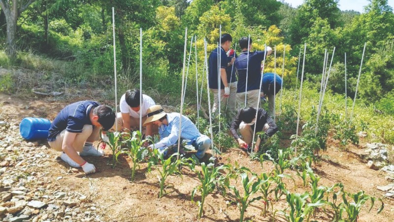 찾아가는환경교육-학교텃밭.jpg