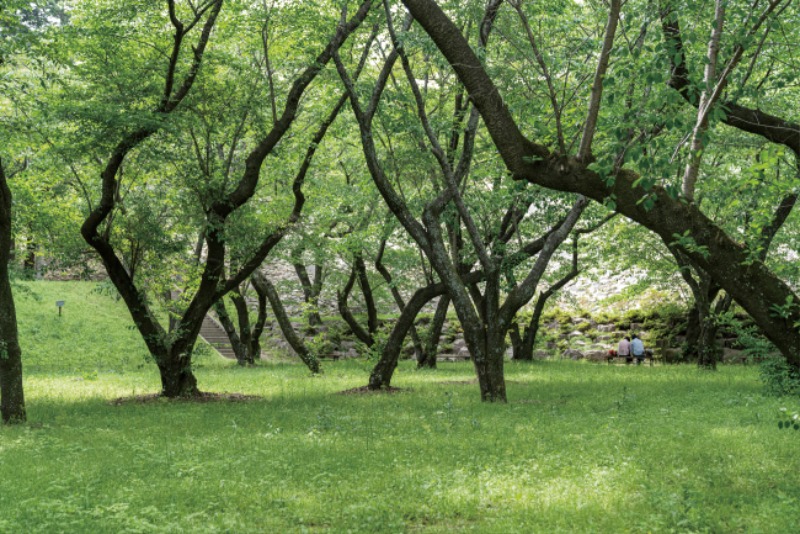 법기수원지 (1).jpg
