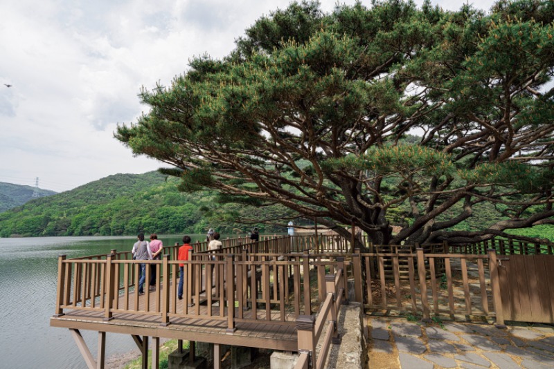 힐링필링_법기반송.jpg
