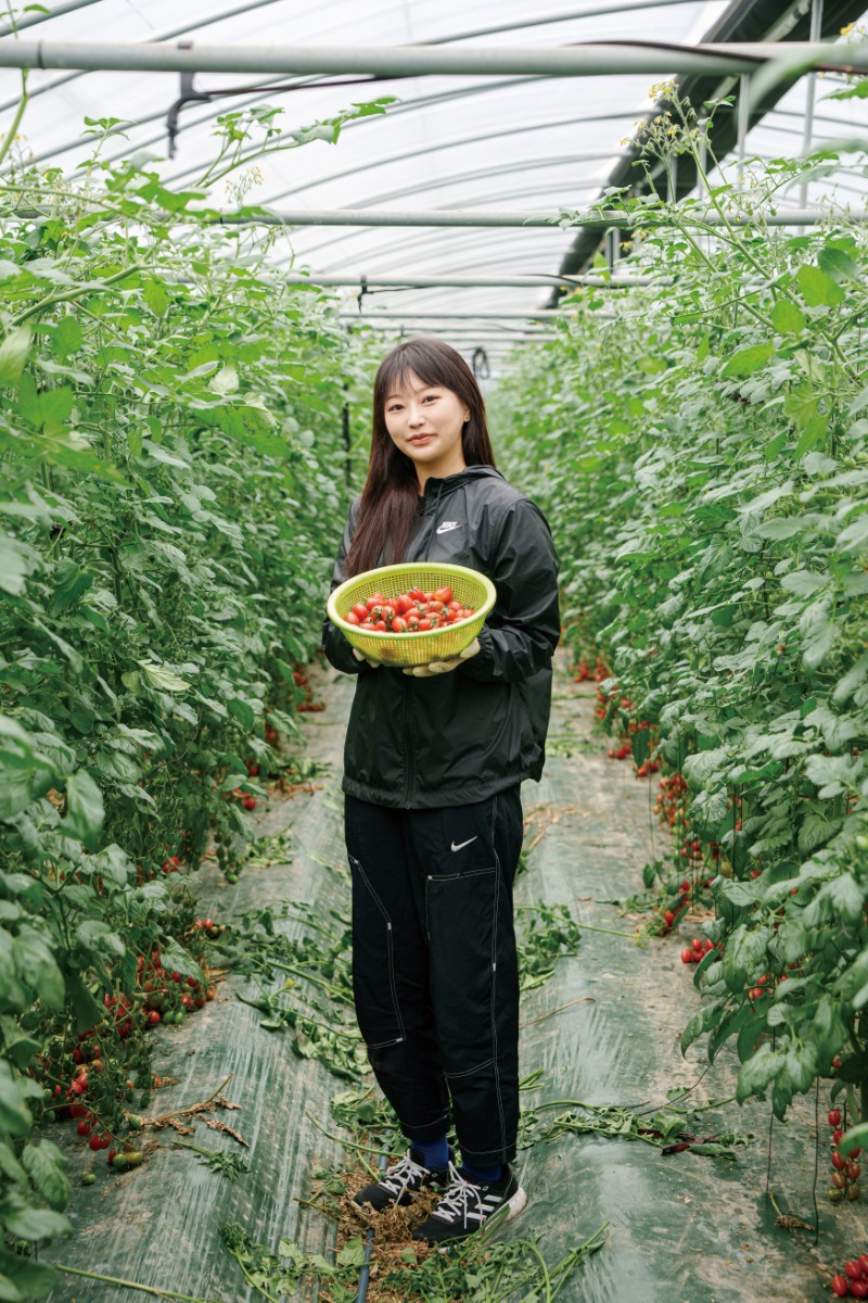 힙토 4.jpg