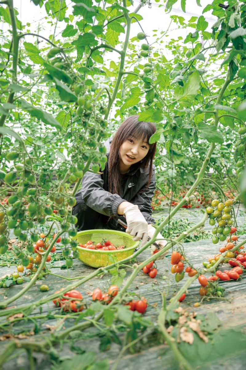 힙토 2.jpg