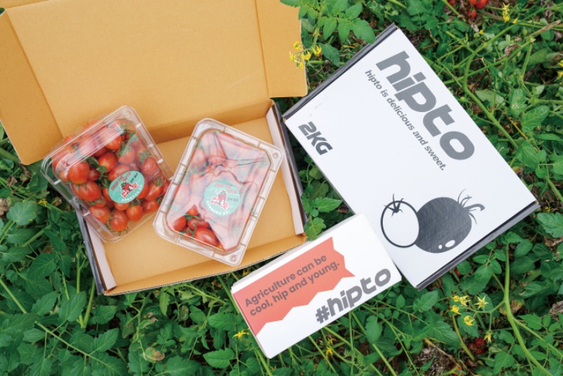 힙토 5.jpg