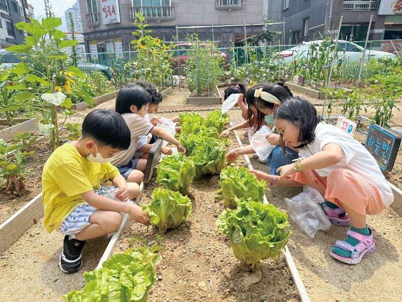 아이들 텃밭.jpg