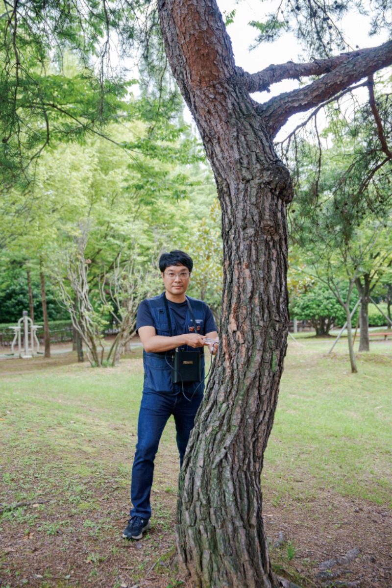 나무의사 33.JPG