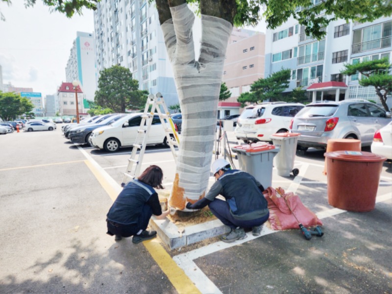 나무의사 자료사진 8.jpg