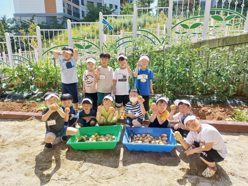 감자캐기 및 텃밭체험활동.jpg