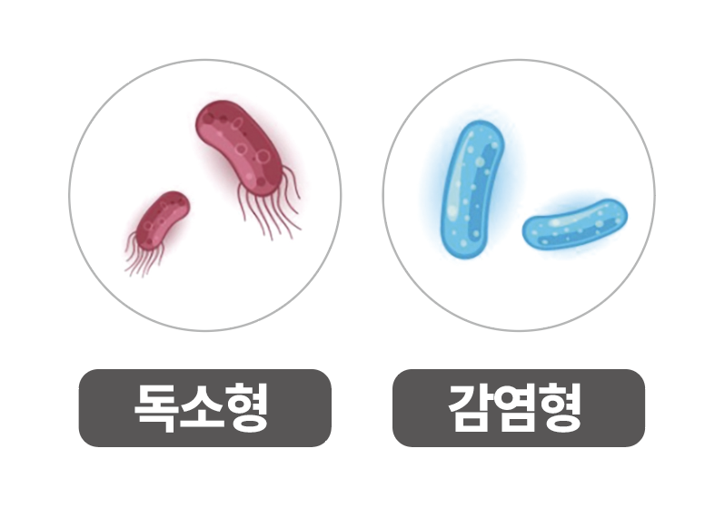 ㅅㅡㅋㅡㄹㅣㄴㅅㅑㅅ 2024-06-03 12.53.25.png