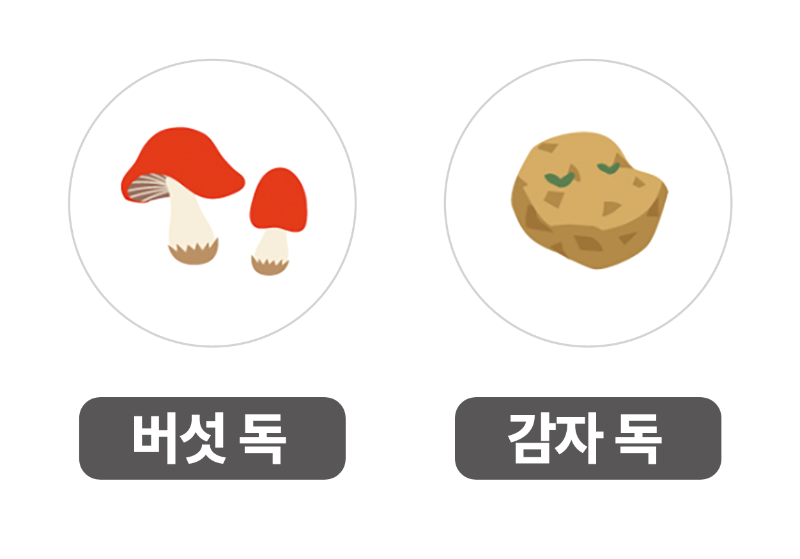 ㅅㅡㅋㅡㄹㅣㄴㅅㅑㅅ 2024-06-03 12.56.08.png