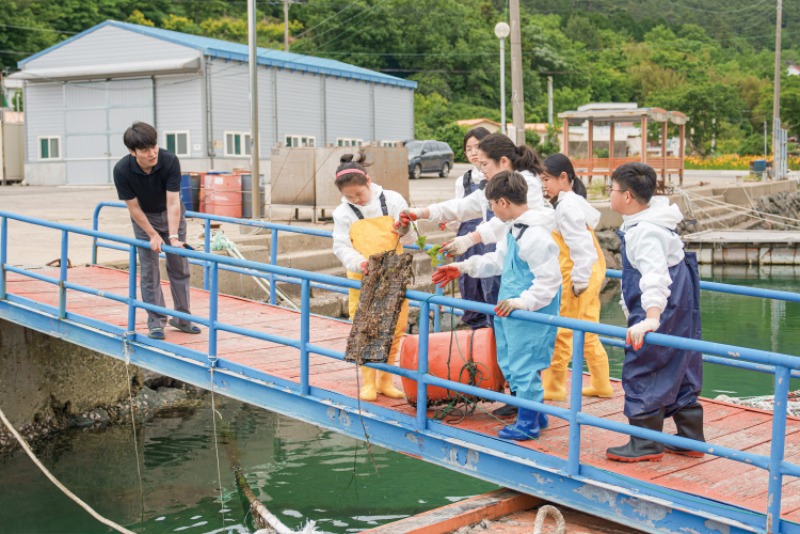율포분교 A1_09814_1.jpg