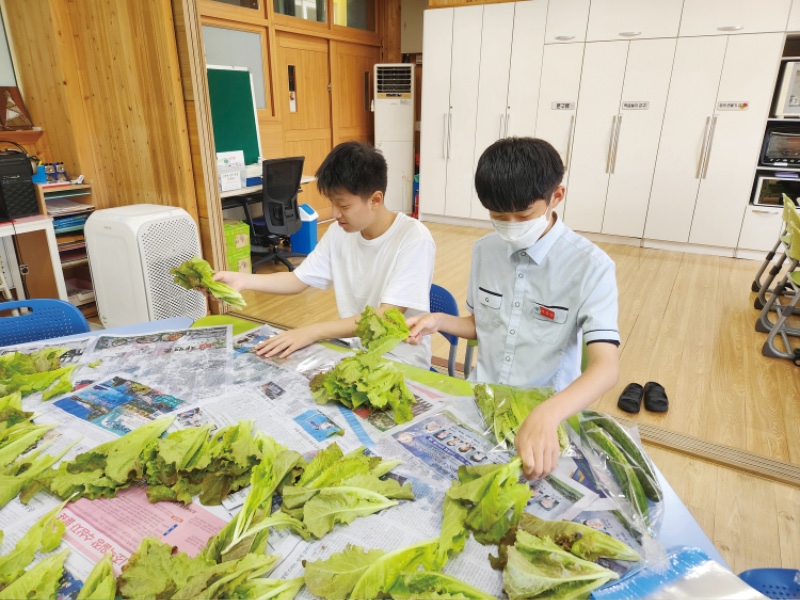 4-7.학교텃밭가꾸기-마을공동체기부를 위한 채소상자포장.jpg